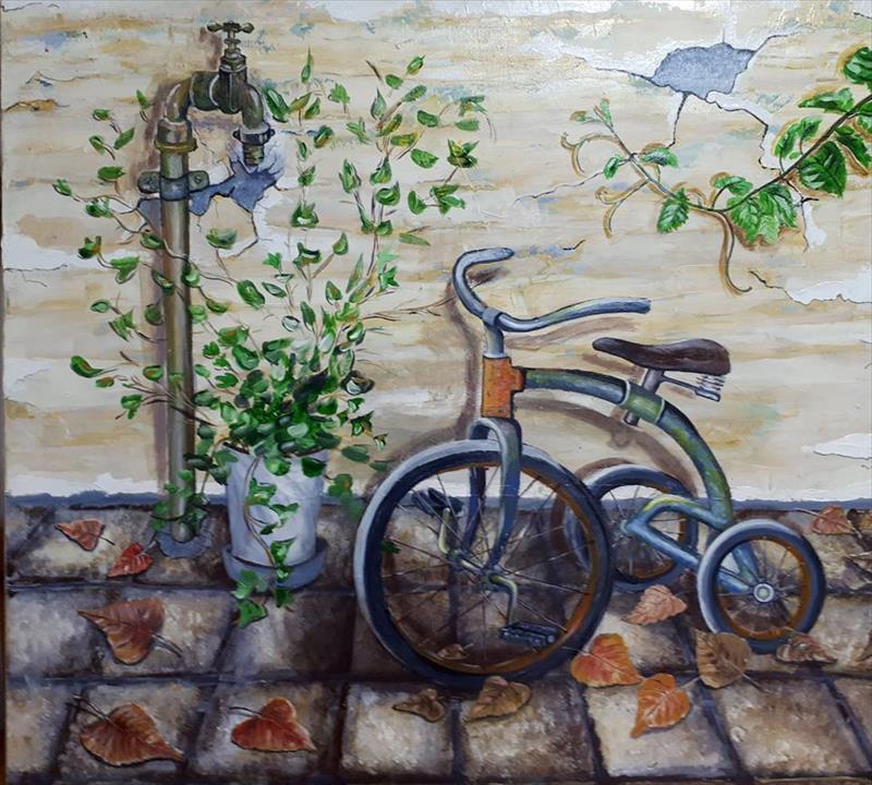 יחיאל וייס אופניים בחצר Yechiel Weiss bicycle in the yard
