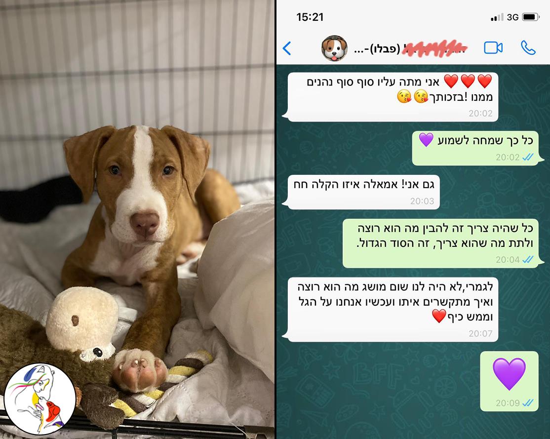 - ♡ הצלחות קטנות - פבלו ♡ -