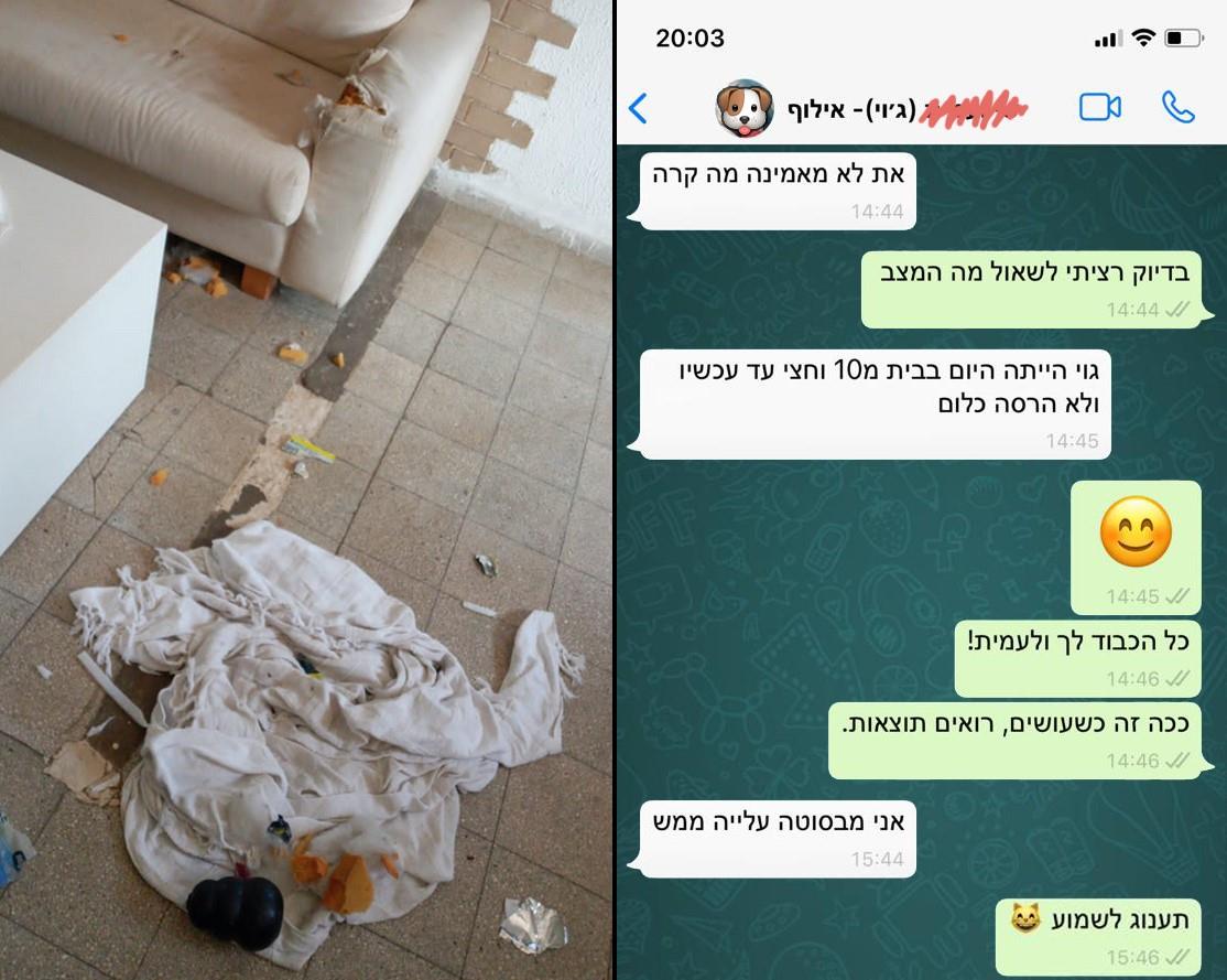 - ♡ הצלחות קטנות - ג'וי ♡ -