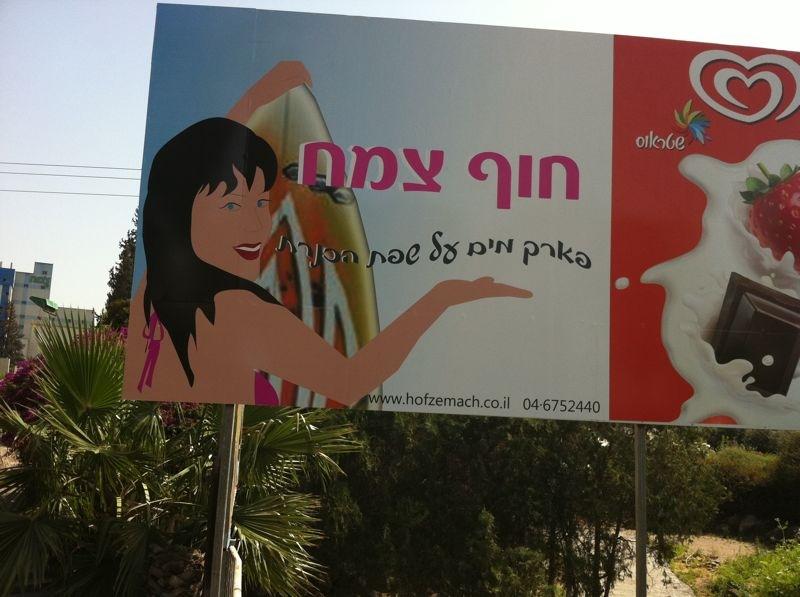 שלט לחוף צמח