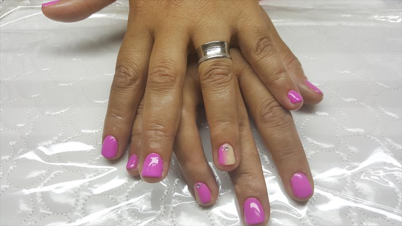 ג'ל bio sclpture