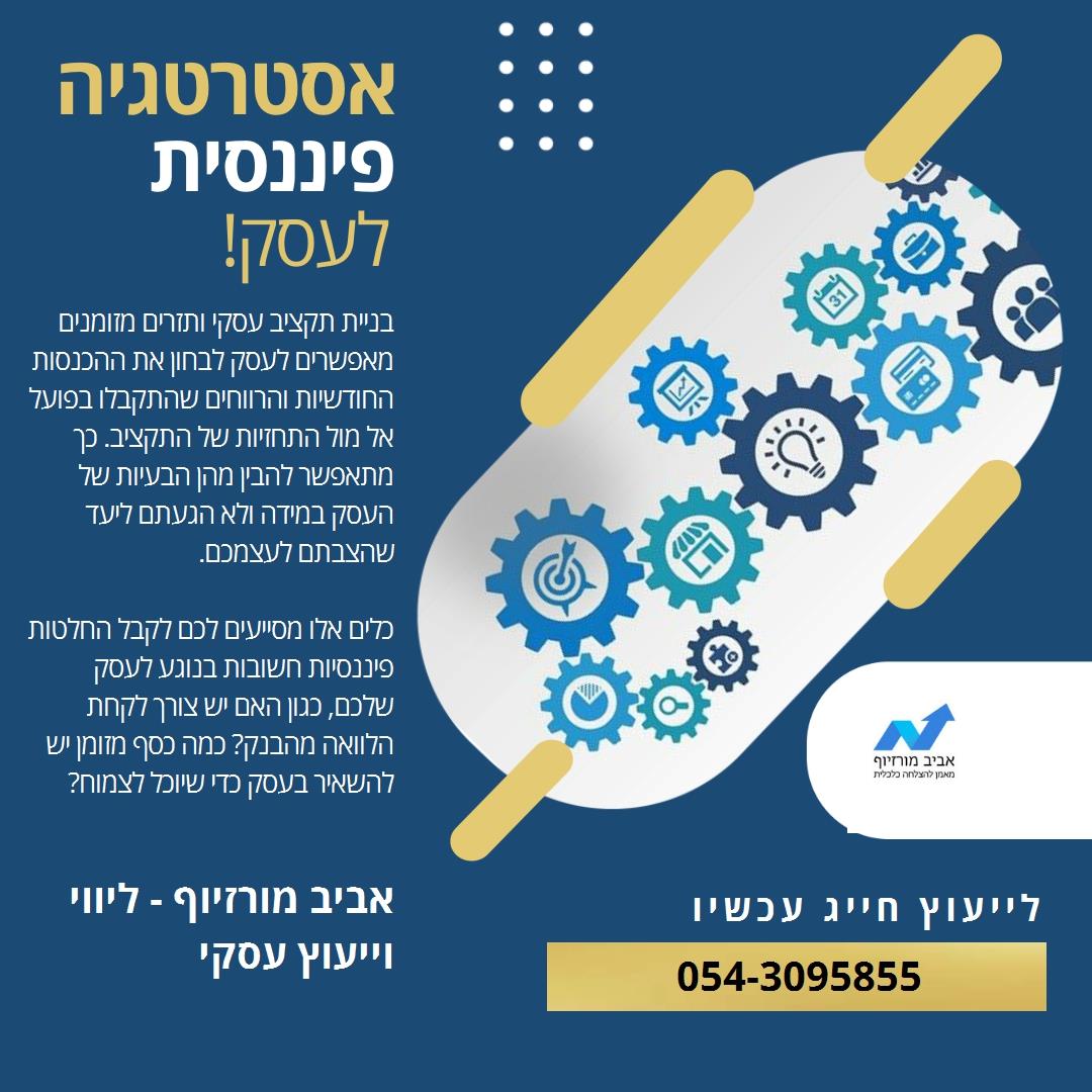 ליווי עסקי