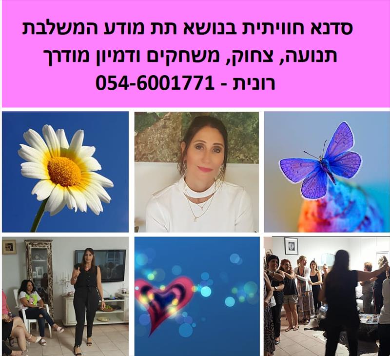 סדנאות, ערבי וימי גיבוש