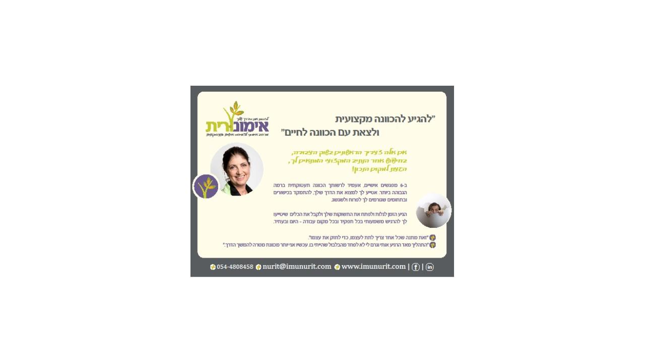 הכוונה מקצועית לצעירים